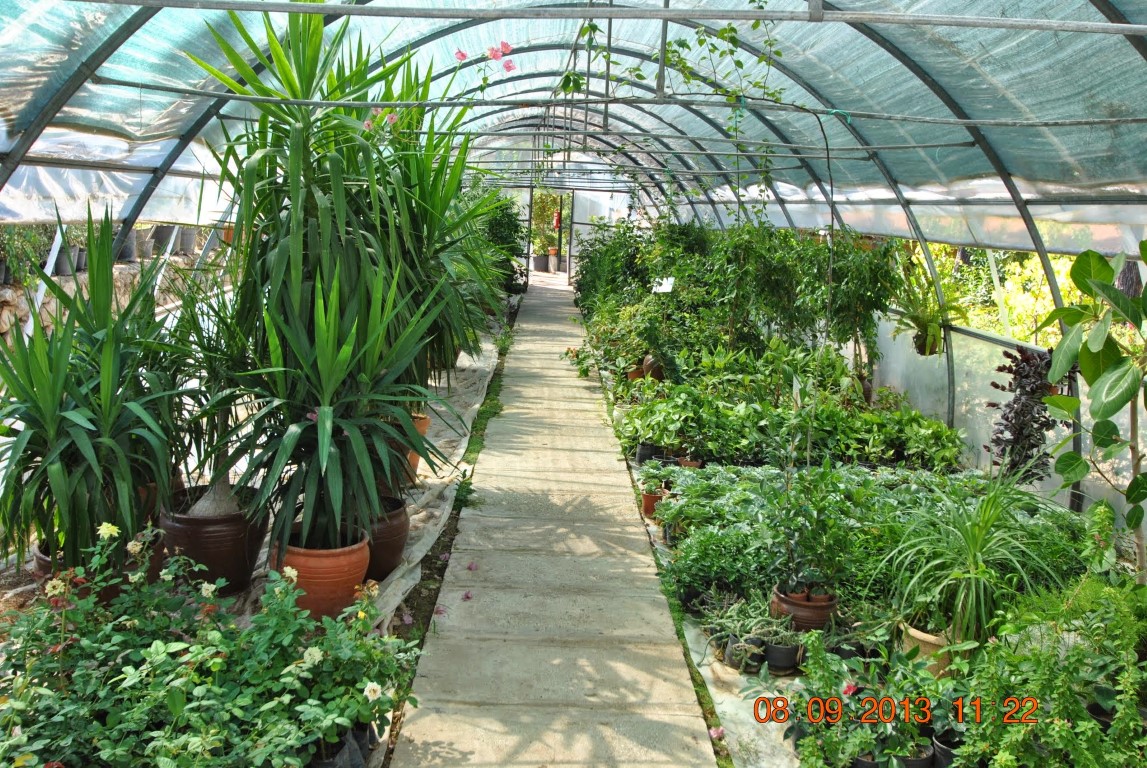 imagini hotel LYKIA WORLD OLUDENIZ